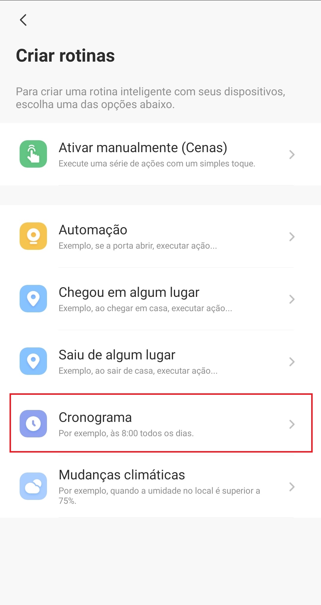 Cronograma
